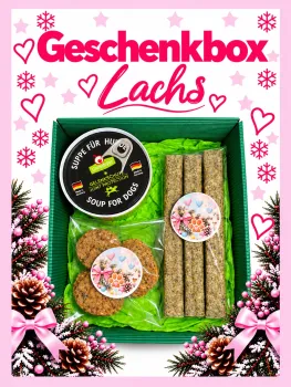 Preview: Nikolausbox bzw. weihnachtliche Geschenkbox